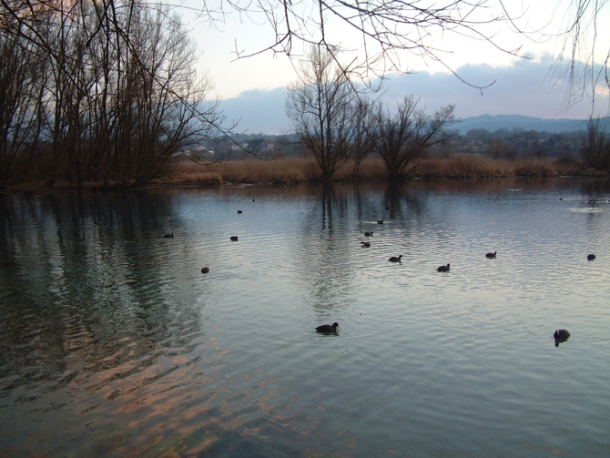 Riserva Regionale Lago di Posta Fibreno